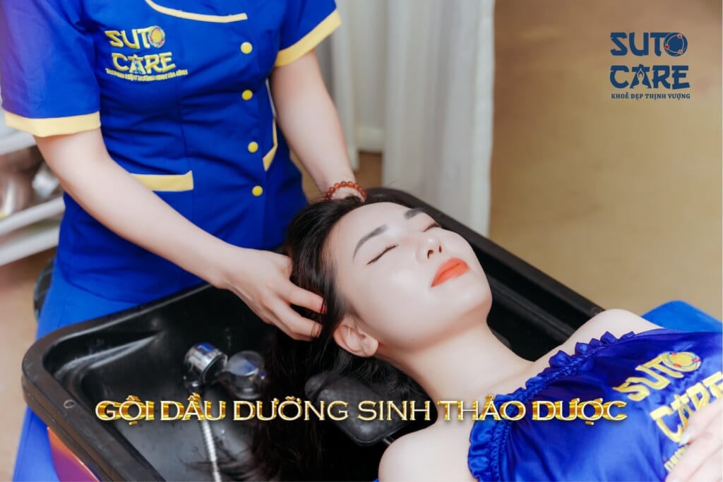 Gội đầu dưỡng sinh tại Suto Care